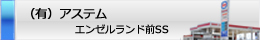 有限会社アステム　エンゼルランドSS