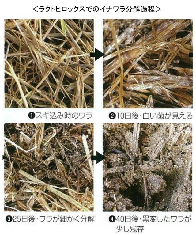 微生物土壌改良剤 ラクトヒロックス 有機物を強力に発酵分解し健全で良質な作物ができる土壌に改良